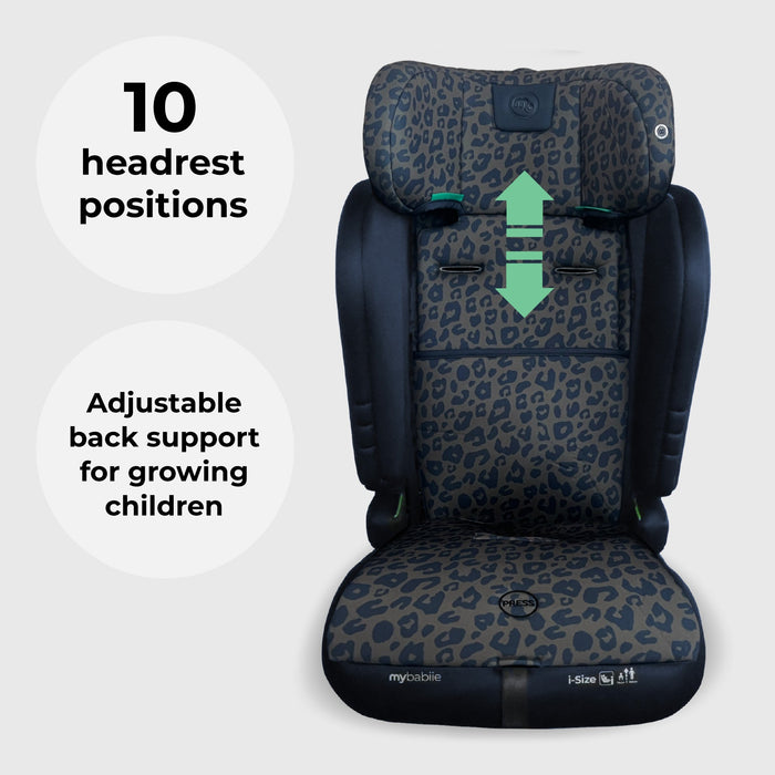 MBCS50 Toddler to Booster R129 Car Seat - Navy Leopard - GRADE A